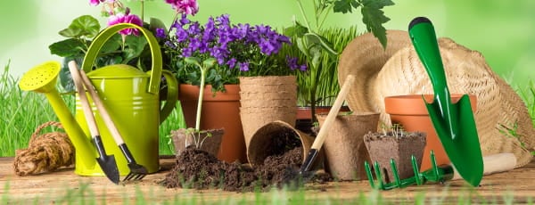 10 nasvetov za mlade vrtnarje
