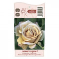 Vrtnica floribunda Honey Dijon®, C5 slika 3 članek 6144