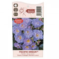 Vrtnica floribunda Pacific Dream®, C5 slika 5 članek 6148