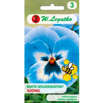 Adonis velikocvetna mačeha slika 9