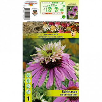 Ameriški slamnik (Echinacea) Double Decker slika 3