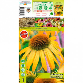Ameriški slamnik (Echinacea) Harvest Moon slika 3