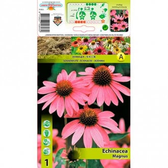 Ameriški slamnik (Echinacea) Magnus slika 6