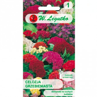 Celosia glavnik, premešajte slika 1