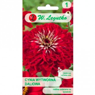 Dalija cinija Škrlatni plamen slika 2