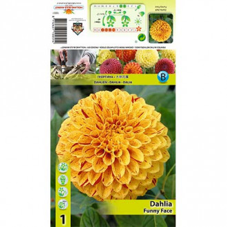 Dalija Funny Face slika 11