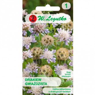 Driada v obliki zvezde slika 16