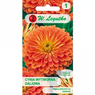 Eldorado dalija cinija slika 5