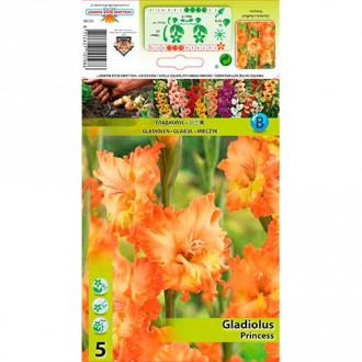 Gladijola Ruffled Princess slika 6