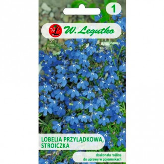 Kapska lobelija (Stroiczka) modra slika 11
