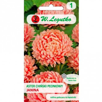 Kitajska potonika aster Janina losos slika 1
