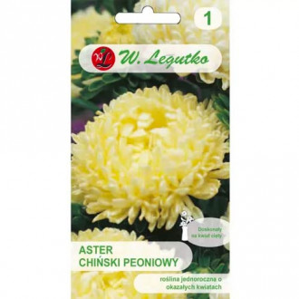 Kitajska potonika rumena astra slika 12