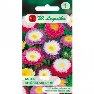 Kitajski Pom Pom Aster Supreme, mix slika 5