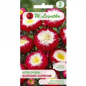 Kitajski pompon astra Gusford Supreme slika 6