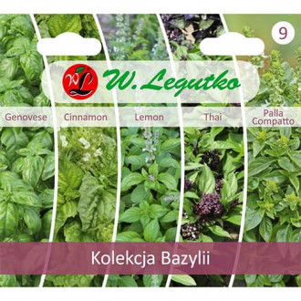 Kolekcija bazilike, paket s 5 sortami slika 5