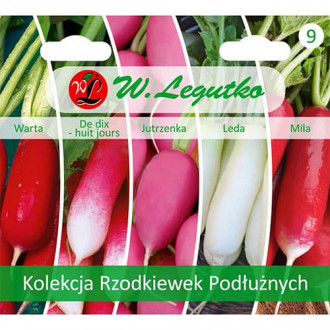 Kolekcija podolgivatih redkvic, paket s 5 sortami slika 3