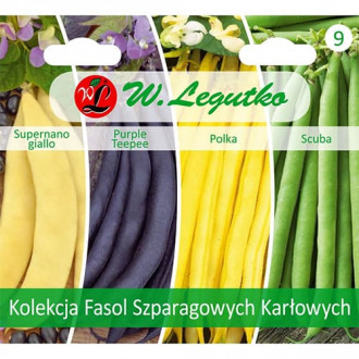 Kolekcija pritlikavega fižola, paket s 4 sortami slika 2