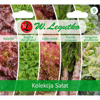Kolekcija zelene solate, paket s 5 sortami slika 4