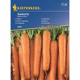 Korenček Santorin F1 slika 13