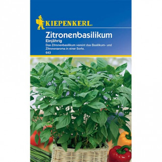 Limonina bazilika slika 5