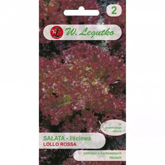Listnata solata Lollo Rossa slika 2
