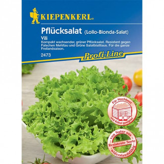 Listnata solata Vili slika 1