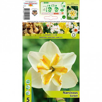 Narcis Sorbet slika 5