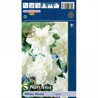 Narcisa frotirna White Medal slika 5