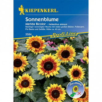 Okrasna sončnica Merida Bicolor slika 5