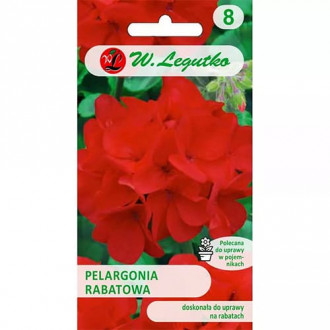 Pelargonija Gama F1, rdeča slika 2