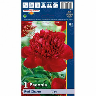 Potonika Red Charm slika 6