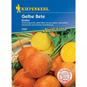 Rdeča pesa Yellow Boldor F1 slika 2
