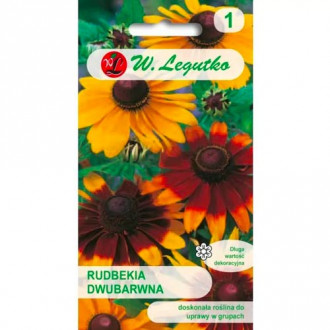 Rudbeckia bicolor, mešanica slika 3