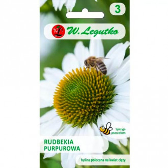 Rudbeckia škrlatna (Echinacea) bela slika 6