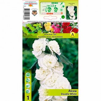 Slez (Alcea) Double White slika 3