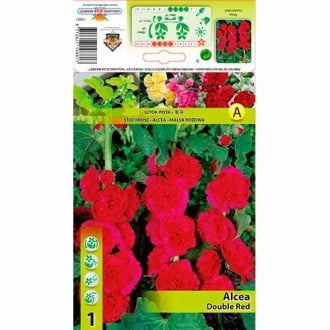 Slez (Alcea) Red slika 2