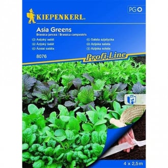 Solata Asia Greens, semenski trak slika 3