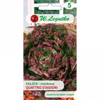 Solata Quattro Stagioni slika 6