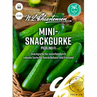 Solatna kumara Picolino F1, Chrestensen slika 1