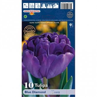 Tulipan frotirni Pink Blue Diamond slika 4