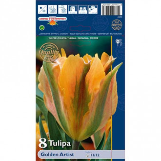 Zelenocvetni tulipan Golden Artist slika 2