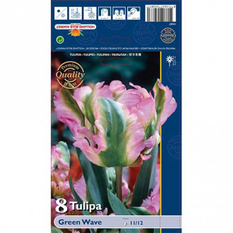 Tulipan Parrot Green Wave slika 4