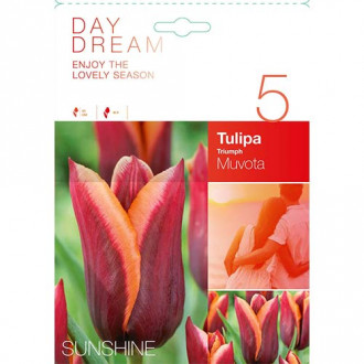 Tulipan Muvota slika 3