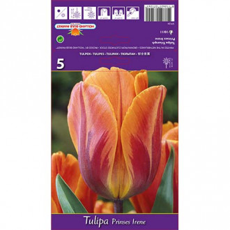 Tulipan Triumph Princess Irene slika 1