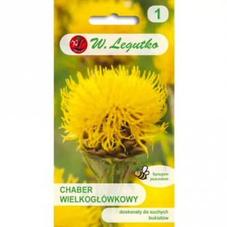 Velikoglava rumena nevda slika 16