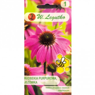 Vijolična rudbekija (Echinacea) roza slika 2