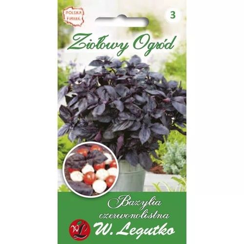 Rdeča bazilika slika 1 članek 69666