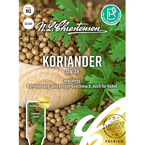 Koriander Jantar slika 1 članek 87843