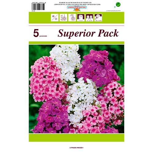 Plamenka večbarvna mešanica slika 1 članek 76491