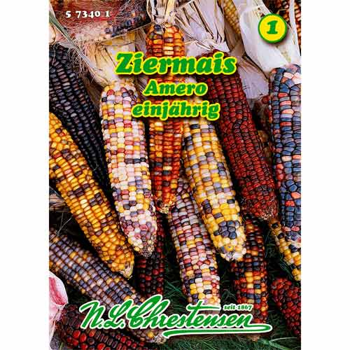 Okrasna koruza Amero slika 1 članek 96457